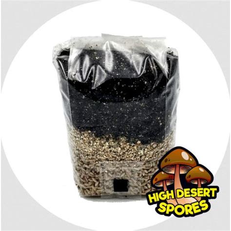 High Desert Spores MAXX FLUSH All In One Mushroom Grow Bag 3 Lb