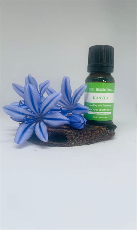 Kanuka Essential Oil - Nature's Nudge