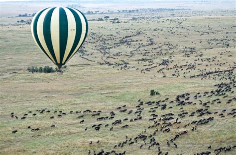 Drifting Over The Serengeti Witness The Great Migration On A Hot Air