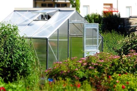 A Complete Guide To Building Your Own Greenhouse Garden TidyLife