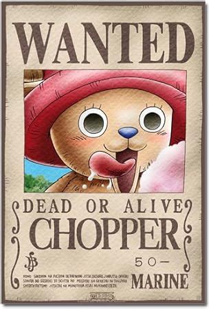 One Piece Wanted Steckbrief Chopper X Cm Poster Plakat Amazon De