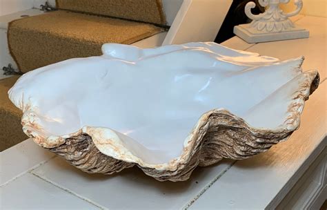 Medium Burnt Umber Giant Clam Shell Sculpture Art Ornament Etsy