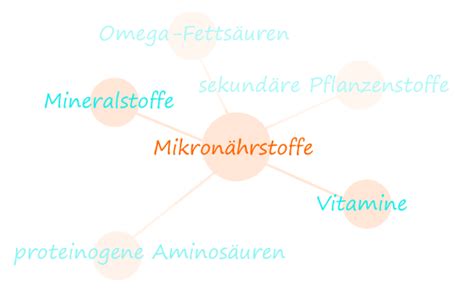 Mikronährstoffe Ihre Apotheke informiert über Ernährung