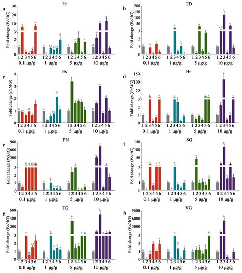 Genes Free Full Text Molecular Characterization And Functional