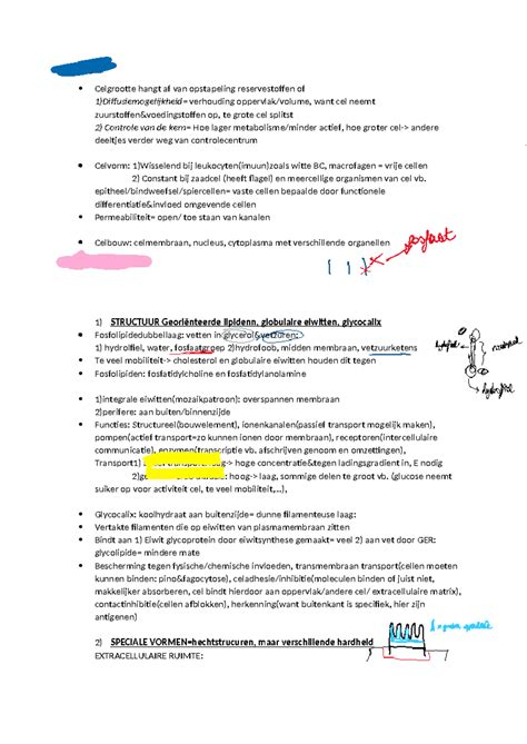 Sv Samenvatting Cytologie En Histologie Cytologie Celgrootte Hangt