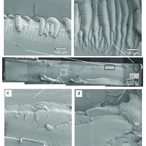 Center Sem Cross Sectional View Of The Fractured Pc Tio Np