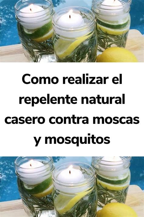 Como Realizar El Repelente Natural Casero Contra Moscas Y Mosquitos