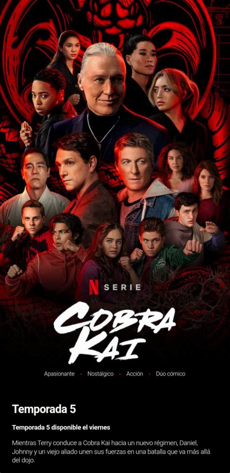 Netflix Estrena La Quinta Temporada De Cobra Kai