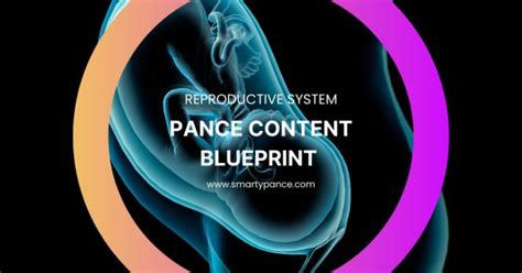 Smarty Pance Reproductive System Content Blueprint Study Guide