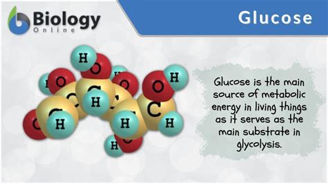 Glucose Definition And Examples Biology Online Dictionary