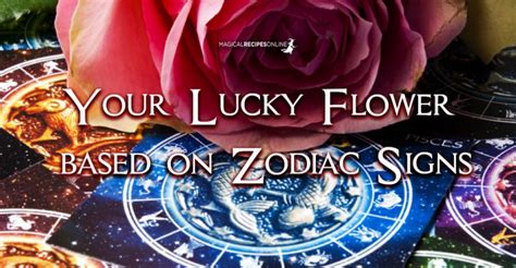 Your Lucky Flower Based On Zodiac Signs Magical Recipes Online