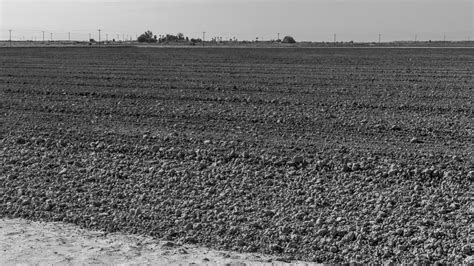 Imperial Geographies: How Border Policy, Pollution, and Labor Create the Modern Salton Sea and ...