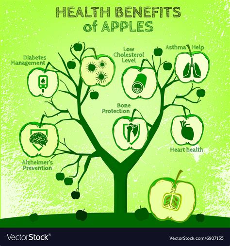 Apple Health Benefits 02 A Royalty Free Vector Image