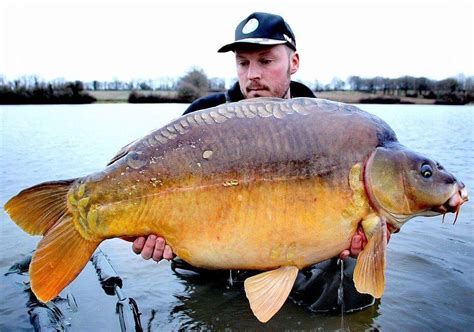 The Biggest Carp Ever Caught In The World