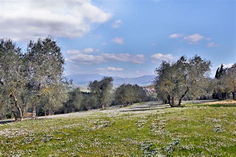 What to do at Monteverdi - Grimaldi