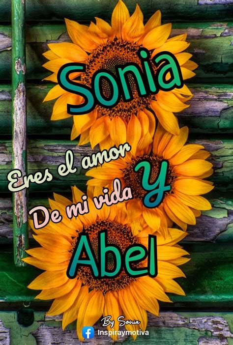 Pin De Sonia En Inspira Y Motiva Girasoles Buenas Noches Amon