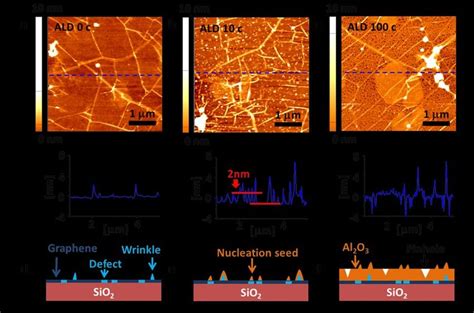 Topographic Changes Of The CVD Graphene After ALD Treatment A C AFM