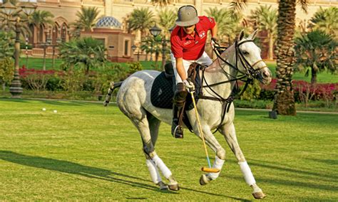 Everything You Need To Know About Polo Time Out Abu Dhabi