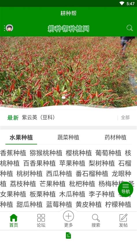 耕种帮app下载 耕种帮种植网下载v105 安卓版 当易网