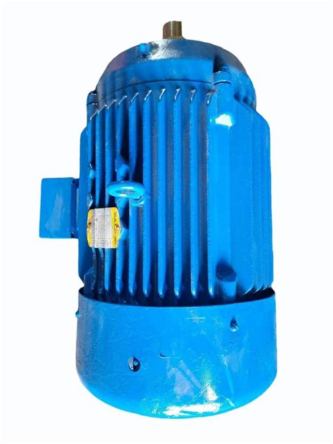 20 HP 6 Pole Single Phase Induction Motor 2 2 KW 2800 Rpm At 42000