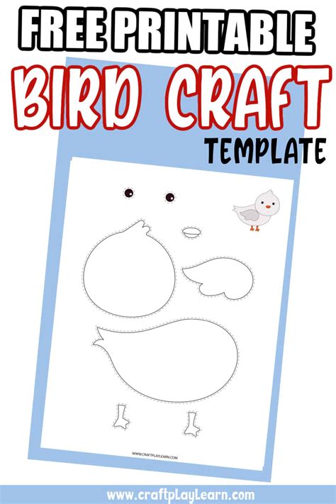 Bird Template