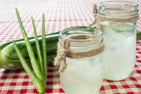 Aloe Vera Come Estrarre Il Gel E 10 Modi Per Usarlo GreenMe