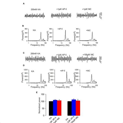 The Effect Of N Methyl D Aspartate Receptor NMDA Receptor