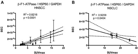 Regression Analysis Of Bec Index [11] ß F1 Atpase Hsp60 Gapdh Vs Suv