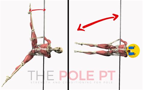 Lets Hang Pole Anatomy Bat Wing The Pole Pt