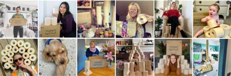 Naked Sprout Reviews Eco Friendly Toilet Tissue Paper Online