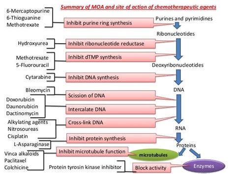 Anticancer drugs 1 introduction and classification