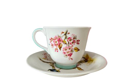 Queen Anne Shangri La Bird And Branches Teacup And Saucer Pink Etsy