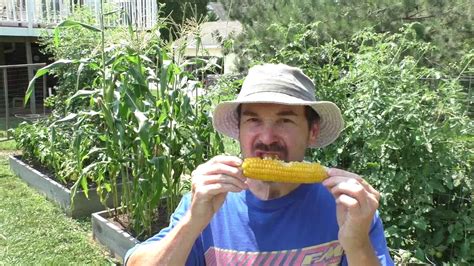 July Th Garden Harvest Tips For Big Yields Vegetable Gardening In