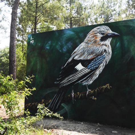 Des Animaux Au Parc Du Bourgailh A MO ART