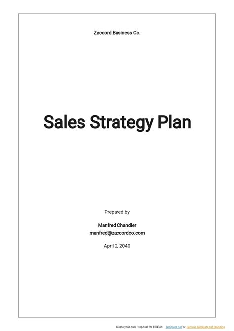 Sales Strategy Plan Template - Google Docs, Word, Apple Pages ...