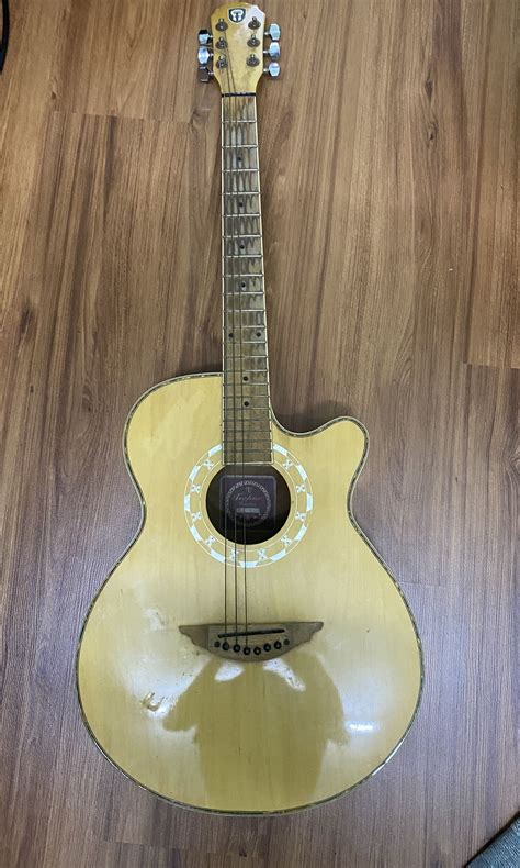 techno acoustic guitar, Hobbies & Toys, Music & Media, Musical ...