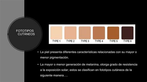 Conoce Los Seis Fototipos Cutaneos De La Piel Pptx