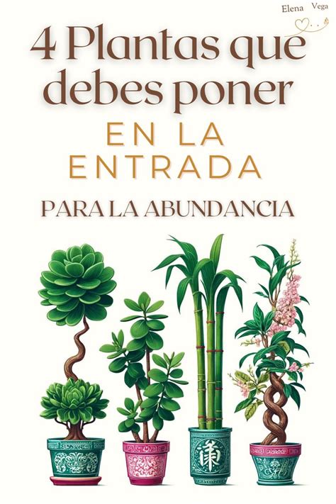 4 Plantas De Buena Suerte Que Debes Poner En La Puerta De Casa Para La