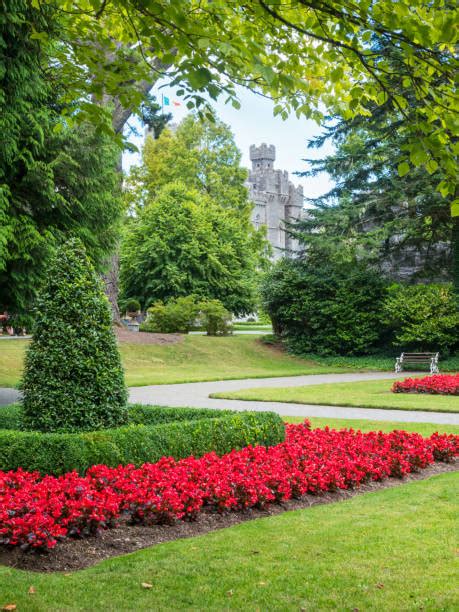 60 Castillo De Ashford Fotografías De Stock Fotos E Imágenes Libres