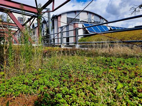 Station Gr Ne Fassaden Und D Cher Der S C Stadtentwicklung Coburg