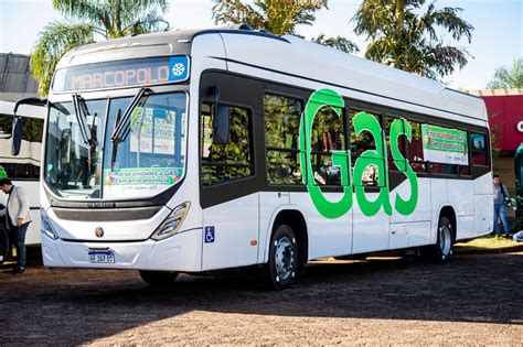 El Sistema Integrado de Transporte Metropolitano presentó nuevas