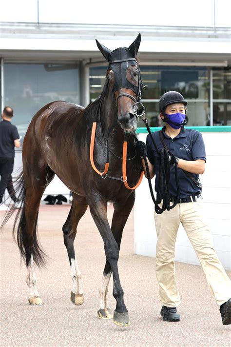 【注目馬動向】ジェラルディーナは秋華賞を視野 ジェンティルドンナとの母子制覇めざす Umatoku 馬トク