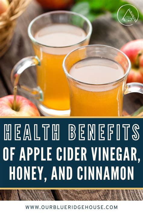 The Health Benefits Of Apple Cider Vinegar Honey And Cinnamon Our