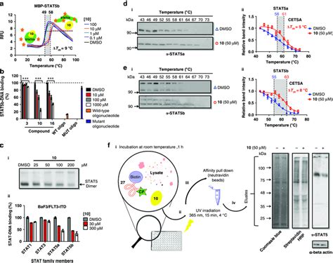 Inhibitor 10 Blocks STAT5 Dimerization DNA Binding And Is Active In