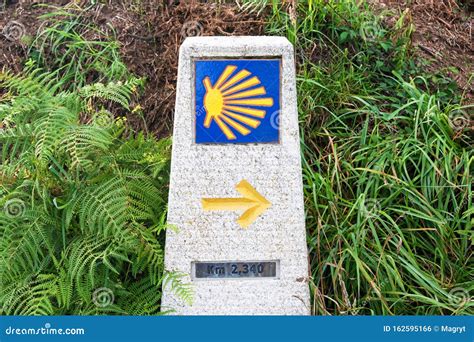 Yellow Scallop Shell Touristic Symbol Of The Camino De Santiago