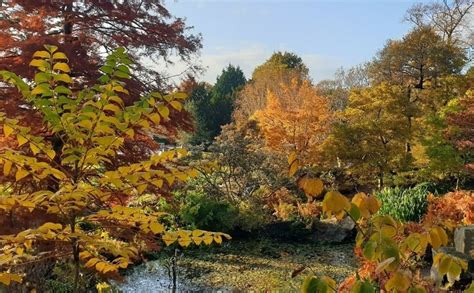 Birmingham's Botanical Gardens Are A Wonderful Spot For A Wander