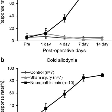 Development Of Mechanical A And Cold Allodynia B After Nerve