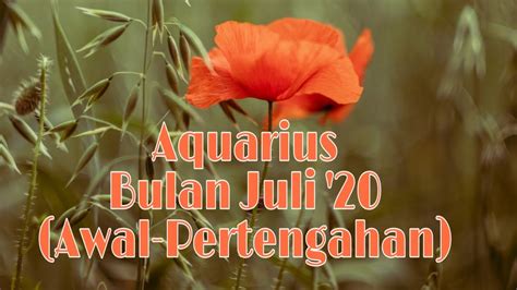 Aquarius Bulan Juli Awal Pertengahan Youtube