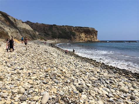 Abalone Cove Shoreline Park Tide Pools Rancho Palos Verdes Day Trips