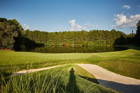 Atlanta National Golf Club Milton Ga Screech Owl Journal Gallery Of Photos